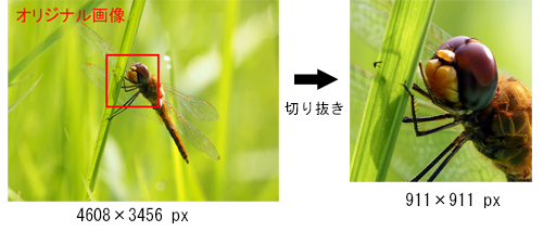 画像編集の切り抜き　余分な部分を削除