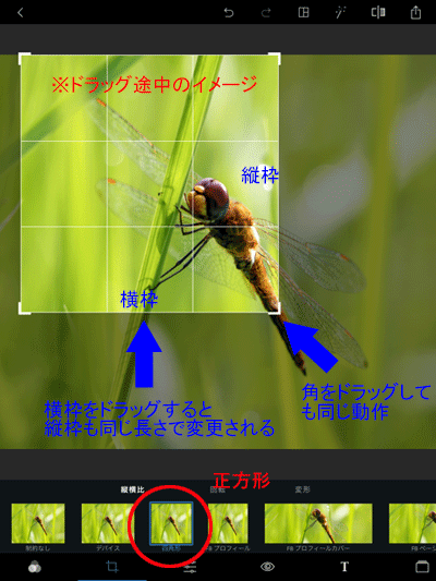 切り抜きパターン設定