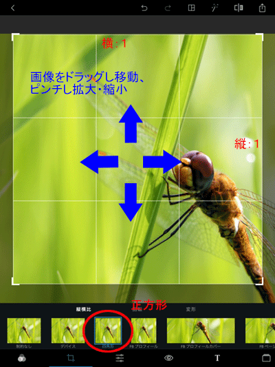 写真をドラッグし移動・位置決め