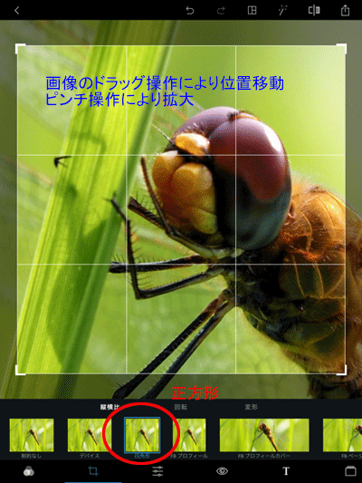 切り抜き写真のイメージ