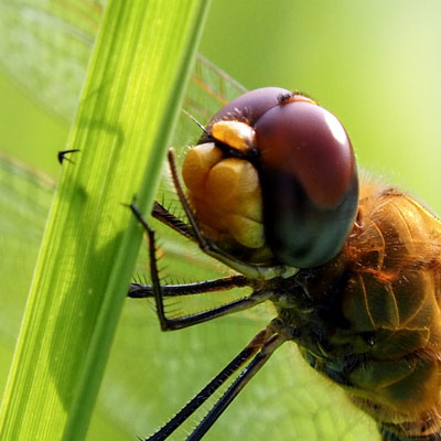 切り抜き後の写真